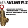 1-1/2" Brass Pressure Relief Valve - Image 2