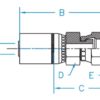 1/4" Hose ID x 1/4" - O-Ring Face Seal Female Swivel Standard Hydraulic Fitting | 04U-S64 - Image 2